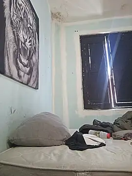 Snapshot of dany_hardy chatting on 02/22/26, 05:55 dany hardy online show from 02/22/26, 05:55