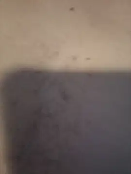 Snapshot of dany_hardy chatting on 03/24/26, 08:36 dany hardy online show from 03/24/26, 08:36