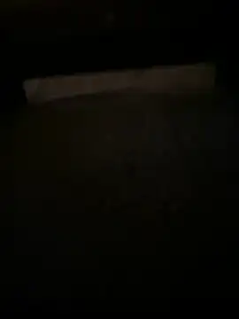 QTeepye online show from 04/16/26, 05:30