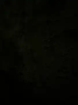 Lilymoonshow online show from 02/17/25, 02:31