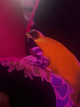 Lilymoonshow online show from 03/17/25, 07:02