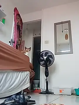 Munnoki online show from 04/02/26, 09:29