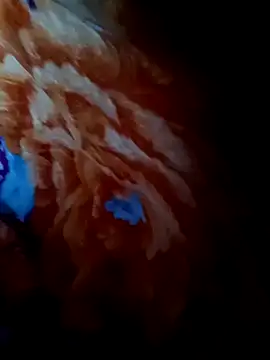 Snapshot of rameshjisex chatting on 11/12/25, 01:17 rameshjisex online show from 11/12/25, 01:17