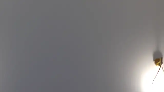 Lilliana Moon online show from 01/30/25, 01:42