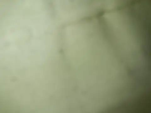 Snapshot of Ktosik88 chatting on 01/18/26, 07:50 Ktosik88 online show from 01/18/26, 07:50