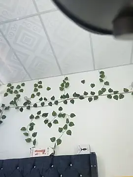 Snapshot of miaa--pervert chatting on 01/15/25, 01:20 miaa--pervert online show from 01/15/25, 01:20