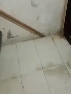 Snapshot of Jinenez chatting on 02/26/25, 08:37 Jinenez online show from 02/26/25, 08:37