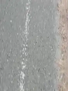 Snapshot of Jinenez chatting on 02/27/25, 10:20 Jinenez online show from 02/27/25, 10:20