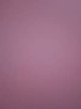 Snapshot of Jinenez chatting on 03/02/25, 11:20 Jinenez online show from 03/02/25, 11:20