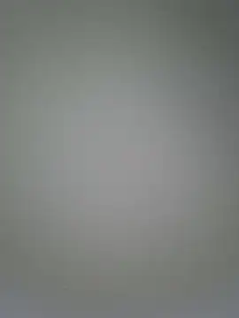 Snapshot of Jinenez chatting on 03/20/25, 11:23 Jinenez online show from 03/20/25, 11:23