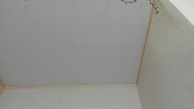 Browni Kiss online show from 01/16/25, 07:49