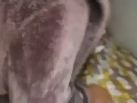 Chandy012 online show from 09/19/25, 01:12