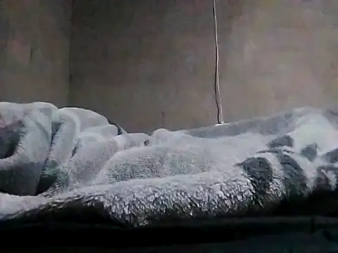 Snapshot of LaneYam chatting on 03/24/26, 08:03 LaneYam online show from 03/24/26, 08:03