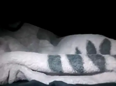 Snapshot of LaneYam chatting on 03/28/26, 12:32 LaneYam online show from 03/28/26, 12:32