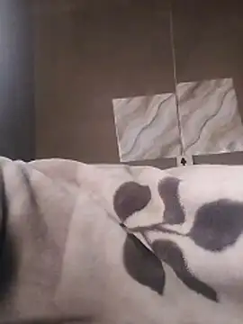 Snapshot of LaneYam chatting on 04/09/26, 05:51 LaneYam online show from 04/09/26, 05:51