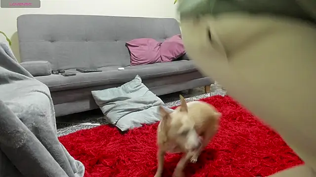 Snapshot of Salvatore_costa chatting on 09/19/25, 12:34 Salvatore costa online show from 09/19/25, 12:34