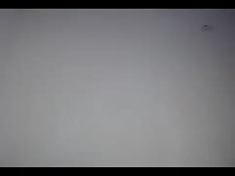 lana roman online show from 03/04/25, 12:22