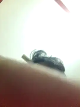 Snapshot of Marvelous_Piyush chatting on 03/06/25, 08:19 Marvelous Piyush online show from 03/06/25, 08:19