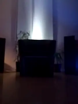 Snapshot of bobbuilder77pl chatting on 01/17/25, 12:10 bobbuilder77pl online show from 01/17/25, 12:10