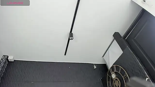 DalayMoore online show from 11/16/25, 08:03