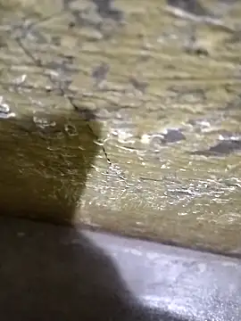 Southindian6996 online show from 02/26/25, 04:24