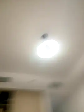 SexySophiaax online show from 10/20/25, 01:00