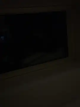 Snapshot of wyattstone chatting on 02/20/26, 04:20 wyattstone online show from 02/20/26, 04:20