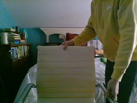 Snapshot of Prolapse_Pig chatting on 02/03/25, 06:17 Prolapse Pig online show from 02/03/25, 06:17