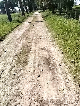 arveia online show from 04/04/26, 12:57