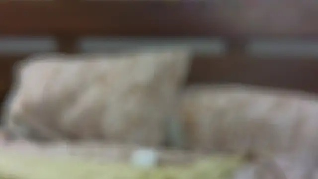 SallyCha online show from 02/18/25, 12:15