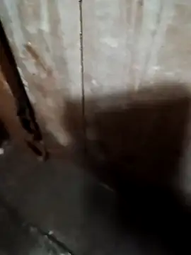 Raj41 online show from 09/20/25, 01:39