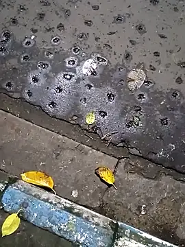 Raj41 online show from 09/20/25, 01:45