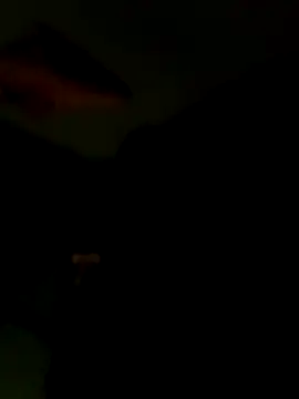 Raj41 online show from 01/15/26, 06:44