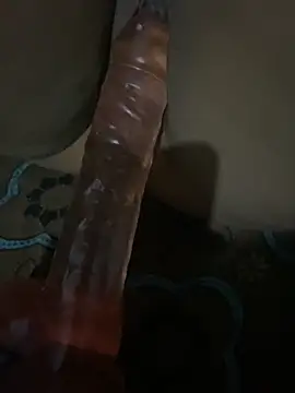 Snapshot of SL_Aki chatting on 04/14/26, 08:26 SL Aki online show from 04/14/26, 08:26