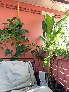 Snapshot of White_Lu chatting on 04/14/26, 02:17 White Lu online show from 04/14/26, 02:17