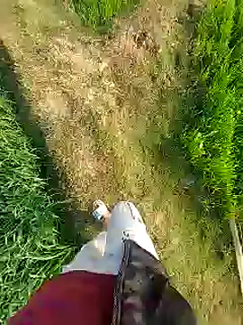 Extrembox5 online show from 01/26/25, 03:17