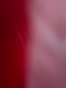 ALEXANDRA95 online show from 02/11/25, 04:44