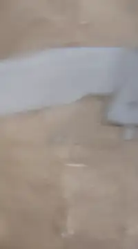 laxmitelugu78 online show from 02/02/25, 07:25