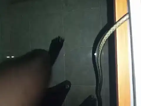 Snapshot of world_bigdick1 chatting on 03/02/25, 06:48 world bigdick1 online show from 03/02/25, 06:48