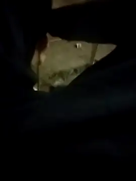 Playboy bhabhi 00 online show from 02/13/25, 02:42