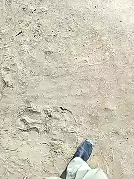 xmanrawan2 online show from 02/02/25, 06:37