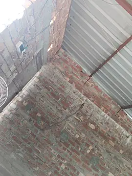 birds0641 online show from 10/24/25, 07:49