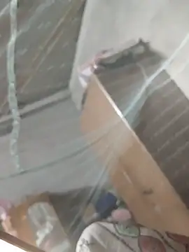 birds0641 online show from 03/31/26, 07:36