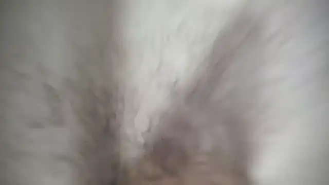 Ivyrose4999 online show from 01/12/25, 05:11