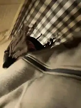 Snapshot of B3-Dindles chatting on 03/21/25, 12:17 B3-Dindles online show from 03/21/25, 12:17