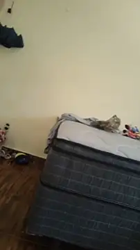 JapeDoBryan online show from 05/16/26, 06:28