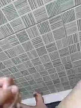 seulobinhoOficial04 online show from 04/17/26, 08:12