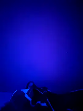 Snapshot of Dehtrans chatting on 03/11/26, 09:15 Dehtrans online show from 03/11/26, 09:15