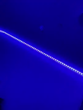 DaniJohnson online show from 02/07/25, 03:19