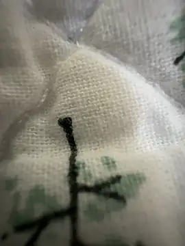 sissyboijamie1313 online show from 02/28/26, 08:54